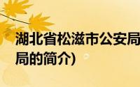 湖北省松滋市公安局(关于湖北省松滋市公安局的简介)