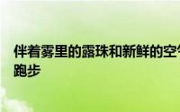 伴着雾里的露珠和新鲜的空气数十个十来岁的女孩在球场上跑步