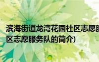 滨海街道龙湾花园社区志愿服务队(关于滨海街道龙湾花园社区志愿服务队的简介)