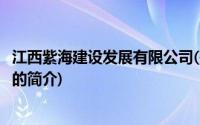 江西紫海建设发展有限公司(关于江西紫海建设发展有限公司的简介)