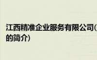 江西精准企业服务有限公司(关于江西精准企业服务有限公司的简介)