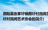 泗阳县张家圩镇颜圩村民间艺术协会(关于泗阳县张家圩镇颜圩村民间艺术协会的简介)