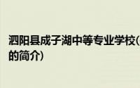 泗阳县成子湖中等专业学校(关于泗阳县成子湖中等专业学校的简介)