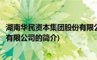 湖南华民资本集团股份有限公司(关于湖南华民资本集团股份有限公司的简介)