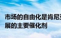 市场的自由化是肯尼亚信息通信技术发展和扩展的主要催化剂