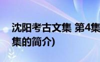 沈阳考古文集 第4集(关于沈阳考古文集 第4集的简介)