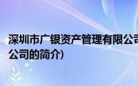 深圳市广银资产管理有限公司(关于深圳市广银资产管理有限公司的简介)