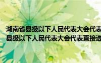 湖南省县级以下人民代表大会代表直接选举细则 1995修正(关于湖南省县级以下人民代表大会代表直接选举细则 1995修正的简介)