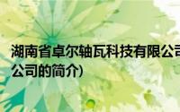 湖南省卓尔轴瓦科技有限公司(关于湖南省卓尔轴瓦科技有限公司的简介)