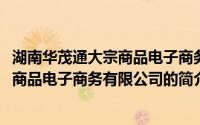 湖南华茂通大宗商品电子商务有限公司(关于湖南华茂通大宗商品电子商务有限公司的简介)