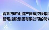 深圳市庐山资产管理控股集团有限公司(关于深圳市庐山资产管理控股集团有限公司的简介)