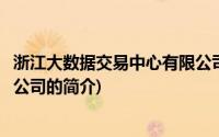 浙江大数据交易中心有限公司(关于浙江大数据交易中心有限公司的简介)