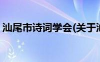 汕尾市诗词学会(关于汕尾市诗词学会的简介)