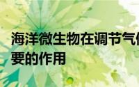 海洋微生物在调节气候方面可以发挥越来越重要的作用