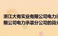 浙江大有实业有限公司电力承装分公司(关于浙江大有实业有限公司电力承装分公司的简介)