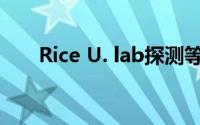 Rice U. lab探测等离子体的分子极限