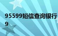 95599短信查询银行 中国农业银行官网95599