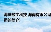 海链数字科技 海南有限公司(关于海链数字科技 海南有限公司的简介)