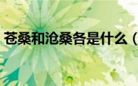 苍桑和沧桑各是什么（苍桑和沧桑各是什么）