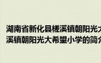 湖南省新化县槎溪镇朝阳光大希望小学(关于湖南省新化县槎溪镇朝阳光大希望小学的简介)