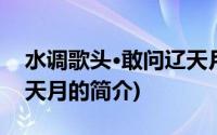 水调歌头·敢问辽天月(关于水调歌头·敢问辽天月的简介)