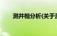 测井相分析(关于测井相分析的简介)