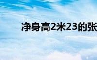 净身高2米23的张子宇被称为女姚明