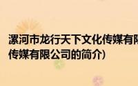 漯河市龙行天下文化传媒有限公司(关于漯河市龙行天下文化传媒有限公司的简介)