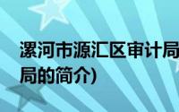 漯河市源汇区审计局(关于漯河市源汇区审计局的简介)