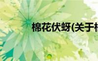 棉花伏蚜(关于棉花伏蚜的简介)