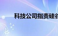 科技公司指责硅谷20年的工资下降