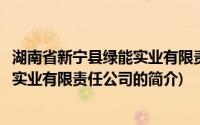 湖南省新宁县绿能实业有限责任公司(关于湖南省新宁县绿能实业有限责任公司的简介)