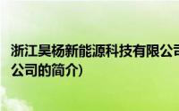 浙江昊杨新能源科技有限公司(关于浙江昊杨新能源科技有限公司的简介)