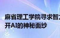 麻省理工学院寻求智力资助的本科研究项目揭开AI的神秘面纱