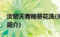 汝窑天青釉葵花洗(关于汝窑天青釉葵花洗的简介)