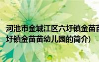 河池市金城江区六圩镇金苗苗幼儿园(关于河池市金城江区六圩镇金苗苗幼儿园的简介)