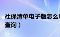 社保清单电子版怎么查询（社保清单网上怎么查询）