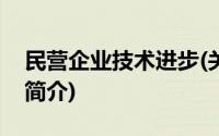 民营企业技术进步(关于民营企业技术进步的简介)