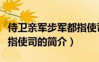 侍卫亲军步军都指使司（关于侍卫亲军步军都指使司的简介）