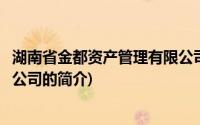 湖南省金都资产管理有限公司(关于湖南省金都资产管理有限公司的简介)