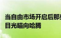 当自由市场开启后那些需要内线的球队迅速将目光瞄向哈腾