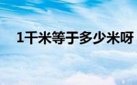 1千米等于多少米呀（1千米等于多少米）