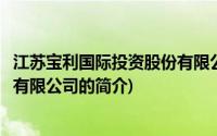 江苏宝利国际投资股份有限公司(关于江苏宝利国际投资股份有限公司的简介)