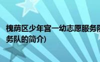 槐荫区少年宫一幼志愿服务队(关于槐荫区少年宫一幼志愿服务队的简介)