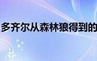 多齐尔从森林狼得到的是一份为期一年的合同