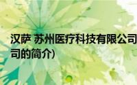 汉萨 苏州医疗科技有限公司(关于汉萨 苏州医疗科技有限公司的简介)