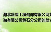 湖北盛唐工程咨询有限公司黄石分公司(关于湖北盛唐工程咨询有限公司黄石分公司的简介)