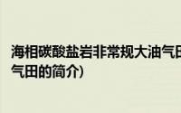 海相碳酸盐岩非常规大油气田(关于海相碳酸盐岩非常规大油气田的简介)