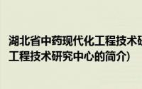 湖北省中药现代化工程技术研究中心(关于湖北省中药现代化工程技术研究中心的简介)