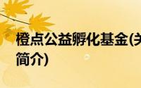 橙点公益孵化基金(关于橙点公益孵化基金的简介)